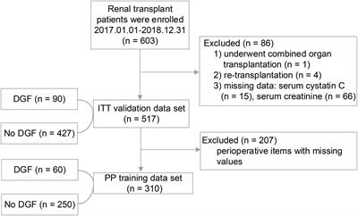 Postoperative day 1 serum cystatin C level predicts postoperative delayed graft function after kidney transplantation